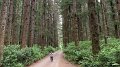 2019-06-12 Pre TN9-32